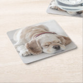 Cockerhond slaapt kartonnen onderzetters (Schuin)