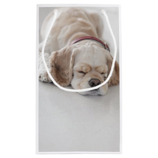 Cockerhond slaapt klein cadeauzakje (Achterkant)
