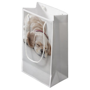 Cockerhond slaapt klein cadeauzakje