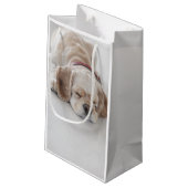 Cockerhond slaapt klein cadeauzakje (Achterkant Gekanteld)