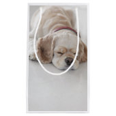 Cockerhond slaapt klein cadeauzakje (Voorkant)