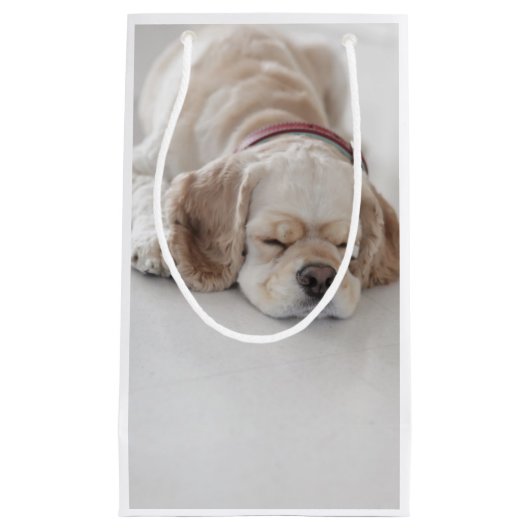 Cockerhond slaapt klein cadeauzakje (Voorkant)