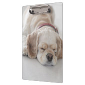 Cockerhond slaapt klembord (Links)