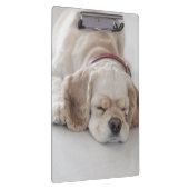 Cockerhond slaapt klembord (Rechts)