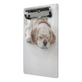 Cockerhond slaapt mini klembord (Angled2)