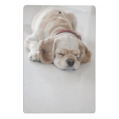 Cockerhond slaapt mini klembord (Achterkant)