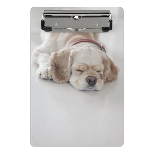 Cockerhond slaapt mini klembord (Voorkant)