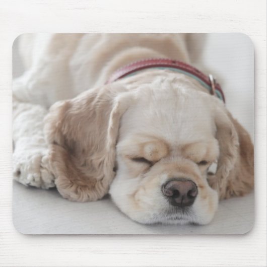 Cockerhond slaapt muismat (Voorkant)