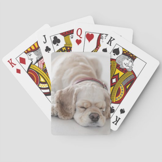 Cockerhond slaapt pokerkaarten (Achterkant)