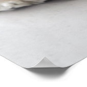 Cockerhond slaapt poster (Hoek)