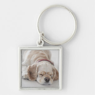 Cockerhond slaapt sleutelhanger
