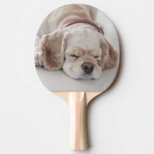 Cockerhond slaapt tafeltennisbatje