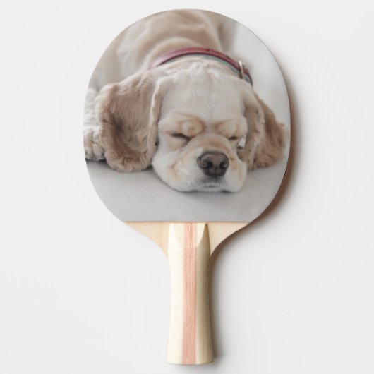 Cockerhond slaapt tafeltennisbatje (Voorkant)