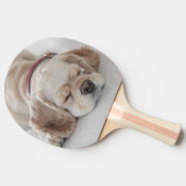 Cockerhond slaapt tafeltennisbatje (Zijkant)