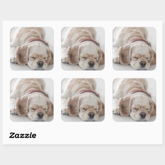 Cockerhond slaapt vierkante sticker (Vel)