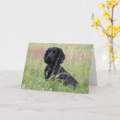 Cockerspaniel Kaart (Gele Bloem)