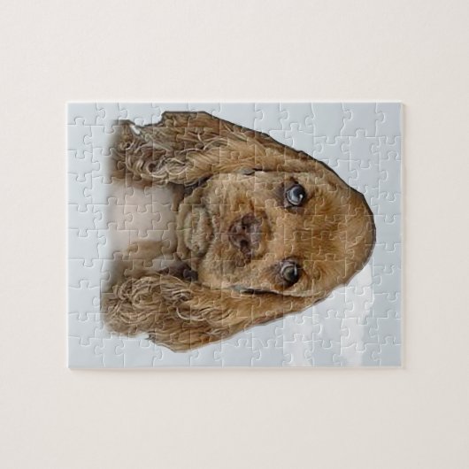 Cockerspaniel Legpuzzel (Horizontaal)