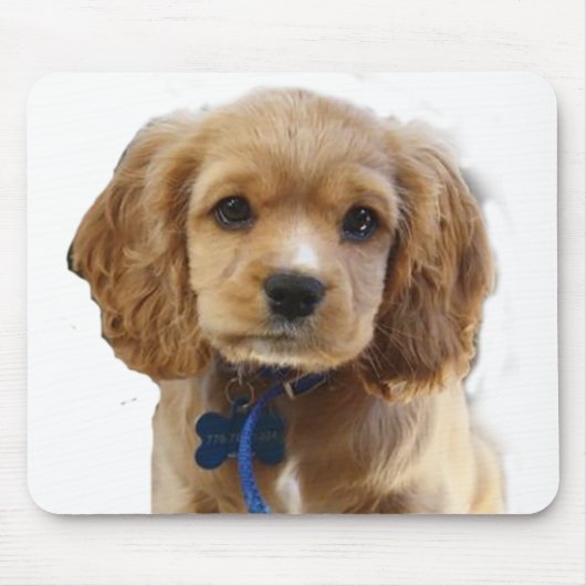 Cockerspaniel Muismat (Voorkant)