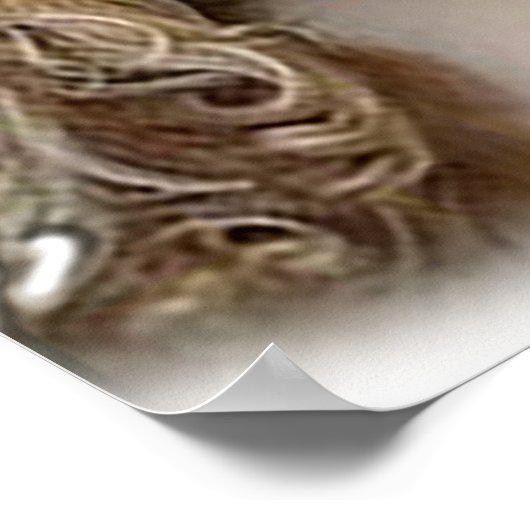 Cockerspaniel Poster (Hoek)