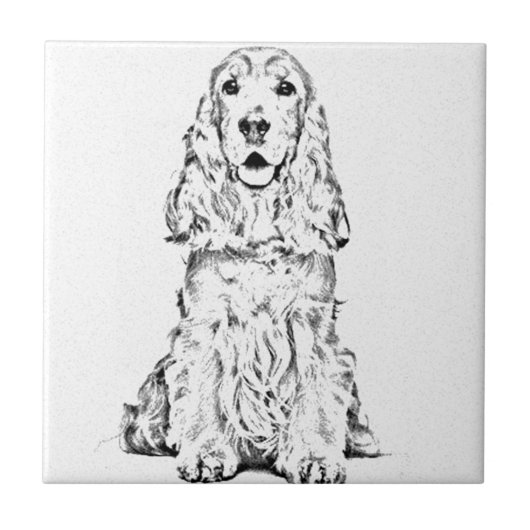 Cockerspaniel Tegeltje (Voorkant)