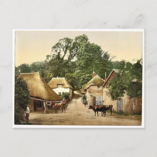 Cockington Forge, Torquay, Engeland klassiek Photo Briefkaart (Voorkant)