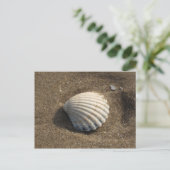 Cockle Shell Briefkaart (Staand voorkant)