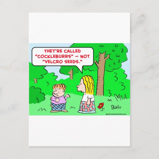 cockleburryrozaad briefkaart (Voorkant)