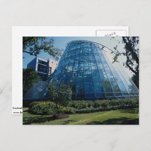Cockrell Butterfly Center, tentoonstelling, Housto Briefkaart (Voorkant / Achterkant)