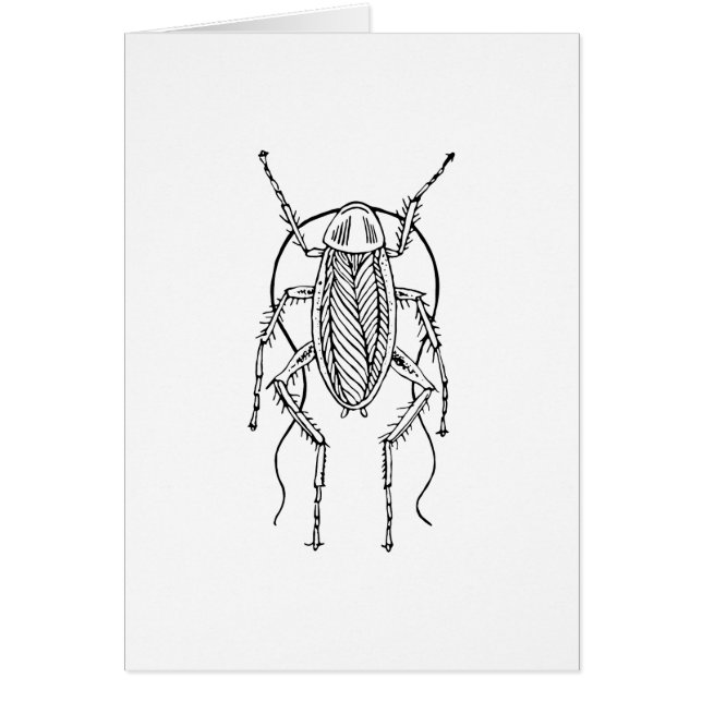 Cockroach (Voorkant)