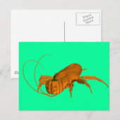 Cockroach Briefkaart (Voorkant / Achterkant)