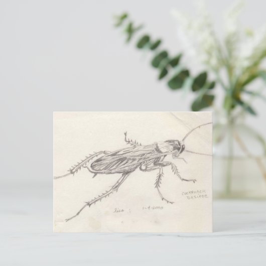 Cockroach Desiree Briefkaart (Staand voorkant)