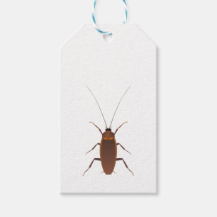 Cockroach Insect Cadeaulabel