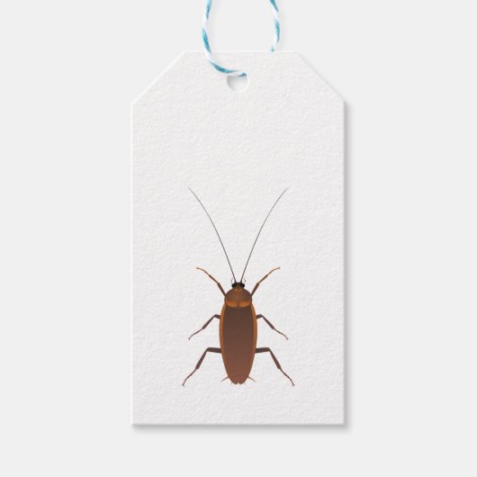 Cockroach Insect Cadeaulabel (Voorkant)