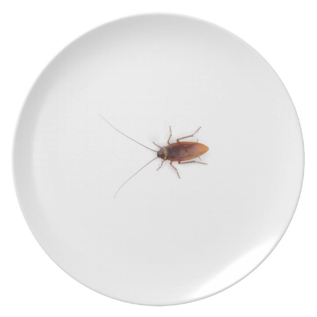 Cockroach op bord (Voorkant)