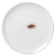 Cockroach op bord (Voorkant)