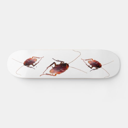 Cockroach Persoonlijk Skateboard (Horizontaal)