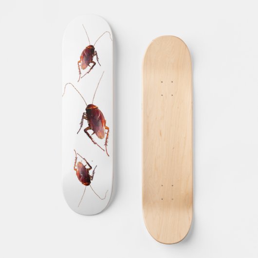 Cockroach Persoonlijk Skateboard (Voorkant)