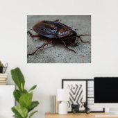 Cockroach Poster (Thuiskantoor)