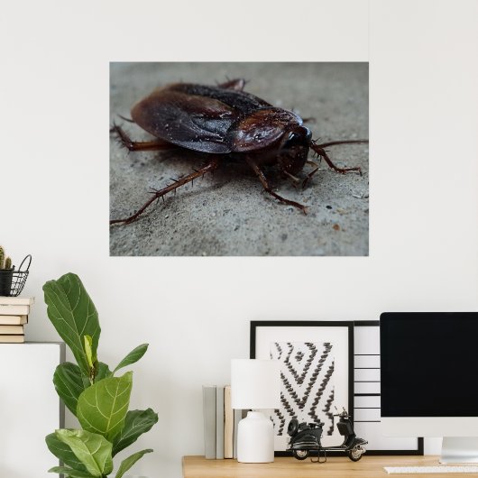 Cockroach Poster (Thuiskantoor)