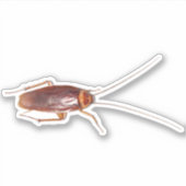 Cockroach Roach Sticker (Voorkant)