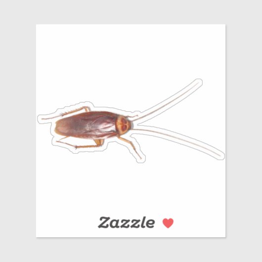 Cockroach Roach Sticker (Vel)