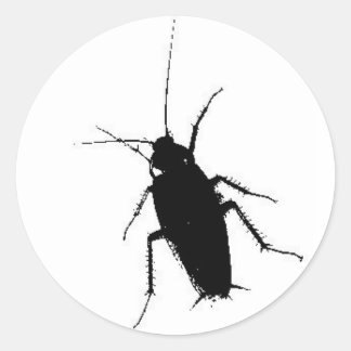 cockroach ronde sticker