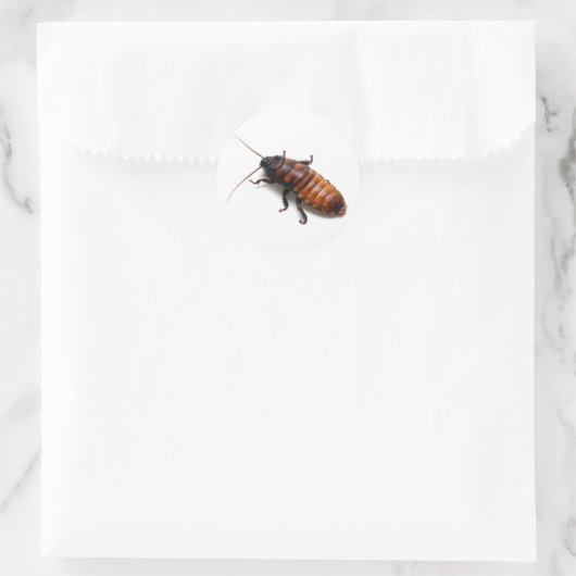 Cockroach Ronde Sticker (Tas)