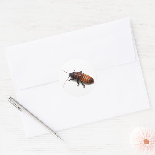 Cockroach Ronde Sticker (Envelop)