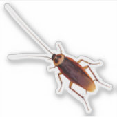 Cockroach Sticker (Voorkant)