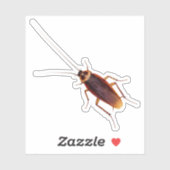 Cockroach Sticker (Vel)