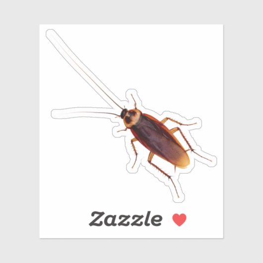 Cockroach Sticker (Vel)