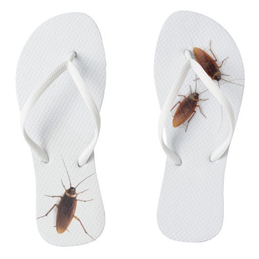 Cockroach Teenslippers (Voetbed)