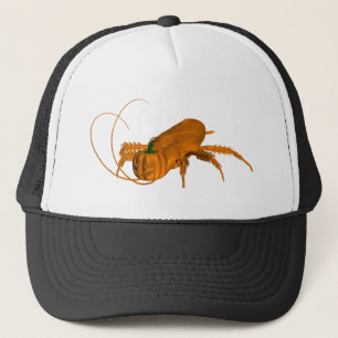 Cockroach Trucker Pet