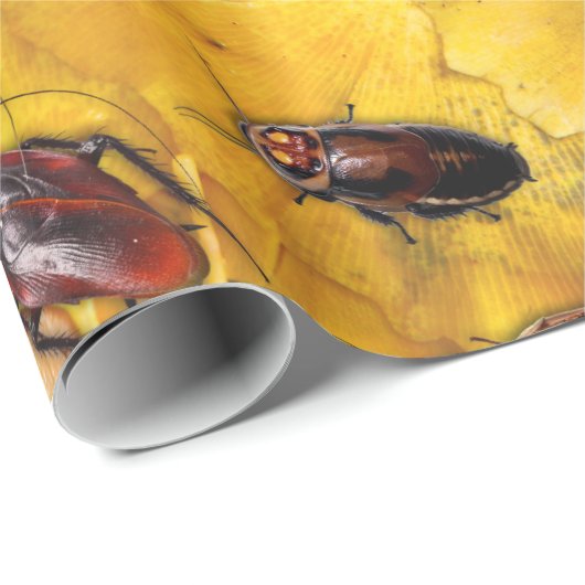 Cockroaches Cadeaupapier (Rol Hoek)